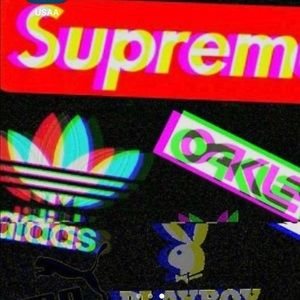 Meet your Posher, Torch